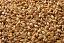 up close view of caramel malt used for brewing beer