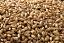 up close view of light colored Vienna malt used for brewing light colored beer