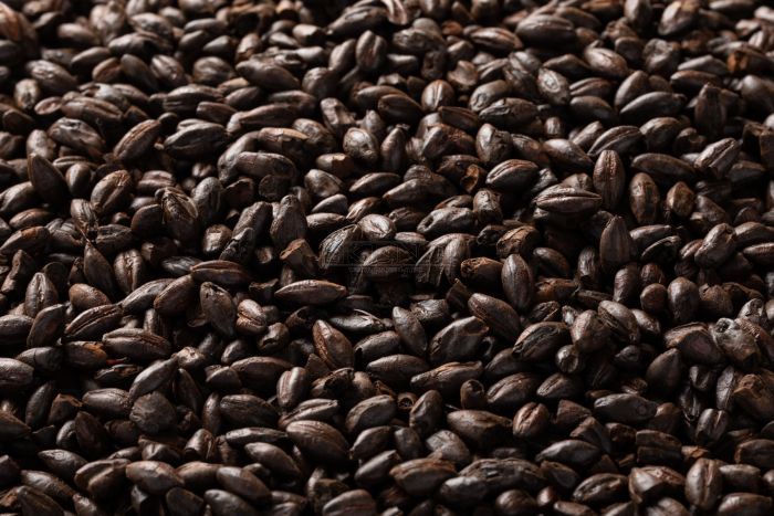 Briess Black Malt (50 lb/Bag) - Brew rich, smooth, coffee flavors