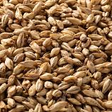 Briess Brewers Malt (50 lb/Bag) - Great Base Malt for All Styles